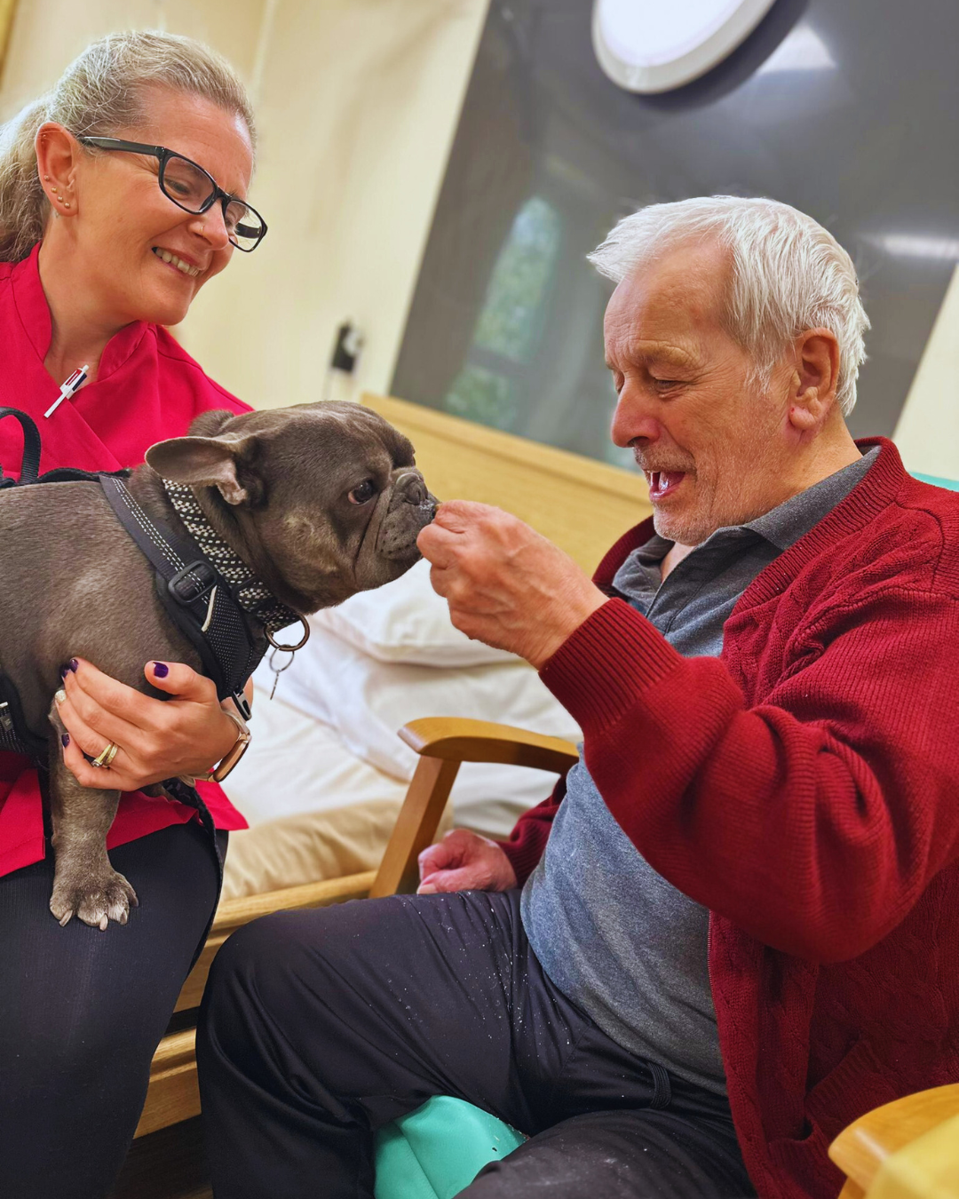 animal therapy at Manor House Care Home