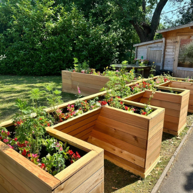 Raised planters in the garden