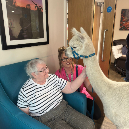 Resident having fun with a lama