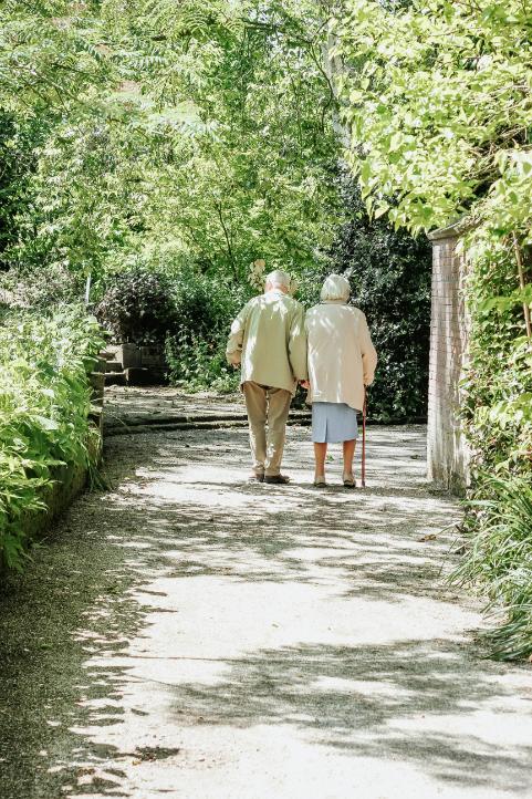 elderly couple walking under trees